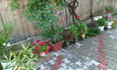 IMG_20140816_190306