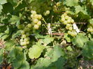 DSCF0052