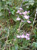 DSCF0024