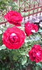 IMG_20140817_124035