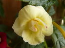 P1070377
