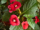P1070380
