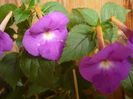 P1070379
