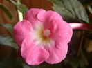 P1070382