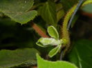 DSCN6976