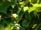 DSCN7080