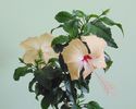 DSC05303