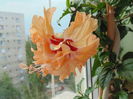 DSC05317