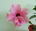 DSC05347