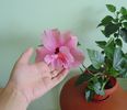 DSC05348
