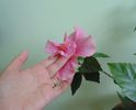 DSC05349