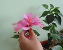 DSC05351