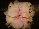 DSC09561