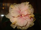 DSC09559