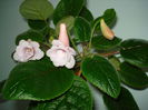 DSC07565