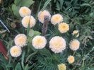 IMG_20140817_145600
