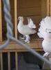 IMG_20140815_100308