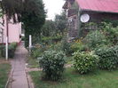Picture 3733
