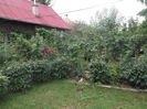 Picture 3734