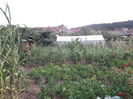 Picture 3747