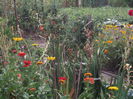 Picture 3749