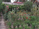 Picture 3751