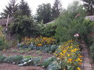 Picture 3752