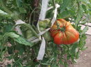 Picture 3759