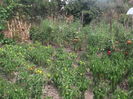 Picture 3764