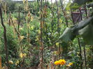 Picture 3768