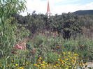 Picture 3771