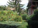 Picture 3776