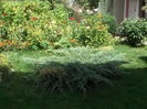Picture 3778