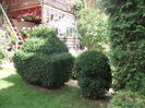 Picture 3779