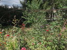Picture 3782