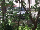 Picture 3789