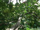 Picture 3792