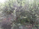 Picture 3793