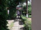 Picture 3796