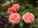 DSCF0191