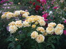 DSCF0899