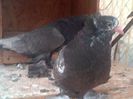 IMG-20140731-00669