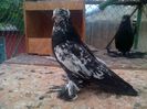 IMG-20140731-00668