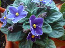 DSC00504