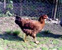 IMG_20140819_195227