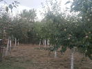 20140819_195456