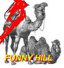 funny hill- serial tv