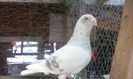 IMG_20140820_100447