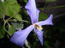 Picture 210