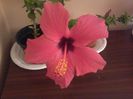 20140820_115122